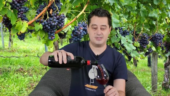 Emberkísérletbe kezdett a borszakíró: iható-e a Dankó?