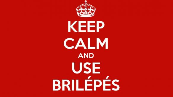 Hogyan fogadta a szakma a brilépést?