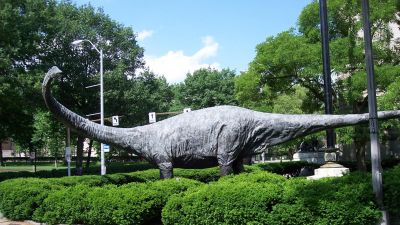 Brit tudósok felfedezhették, hogyan szexeltek egymással a dinoszauruszok