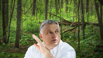 Lesz-e zöldügyi minisztérium most, hogy a Fidesz is rájött, kéne foglalkozni a klímavédelemmel?