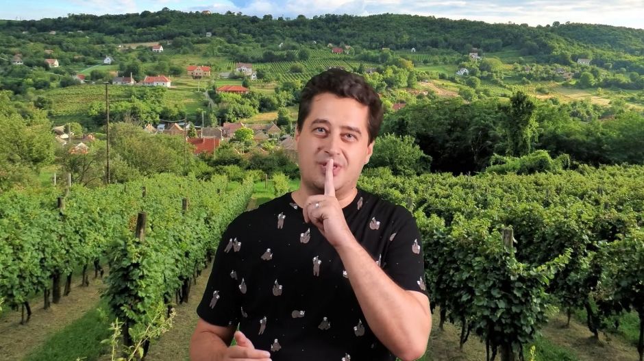 A magyar borvidék, ami a szerbek és a svábok nélkül sehol nem lenne