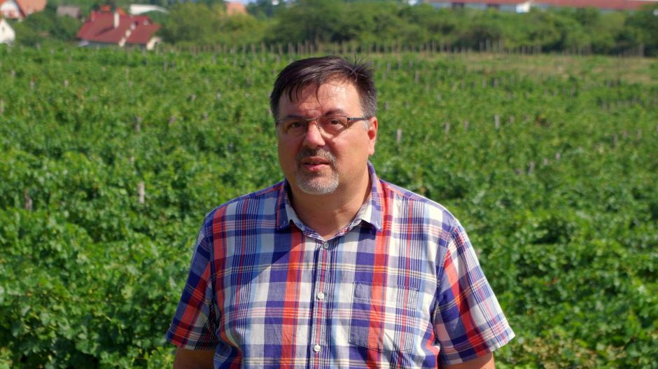 Szarajevó ostromát túlélte, a magyar bormédiába beletörött a bicskája