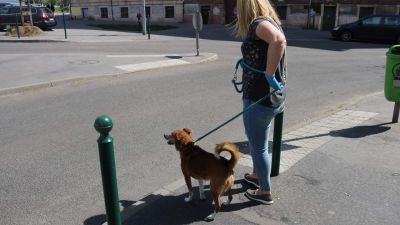 Így segítenek Budapest önkéntesei a koronavírus-járvány idején