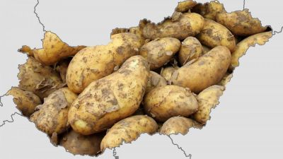 Magyarországon megbukott a krumplikrácia