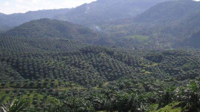 A WTO elé citálja Indonézia az EU-t